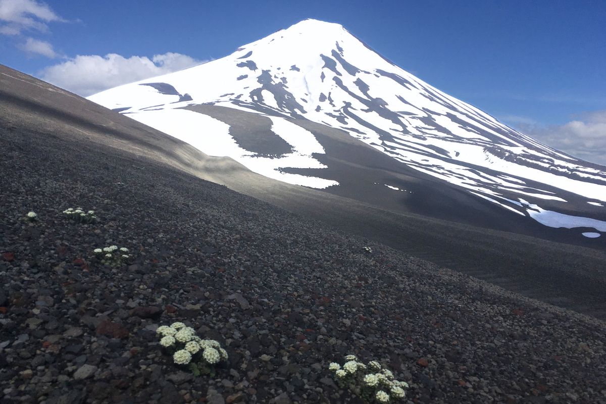 Christmas Crater Trail 