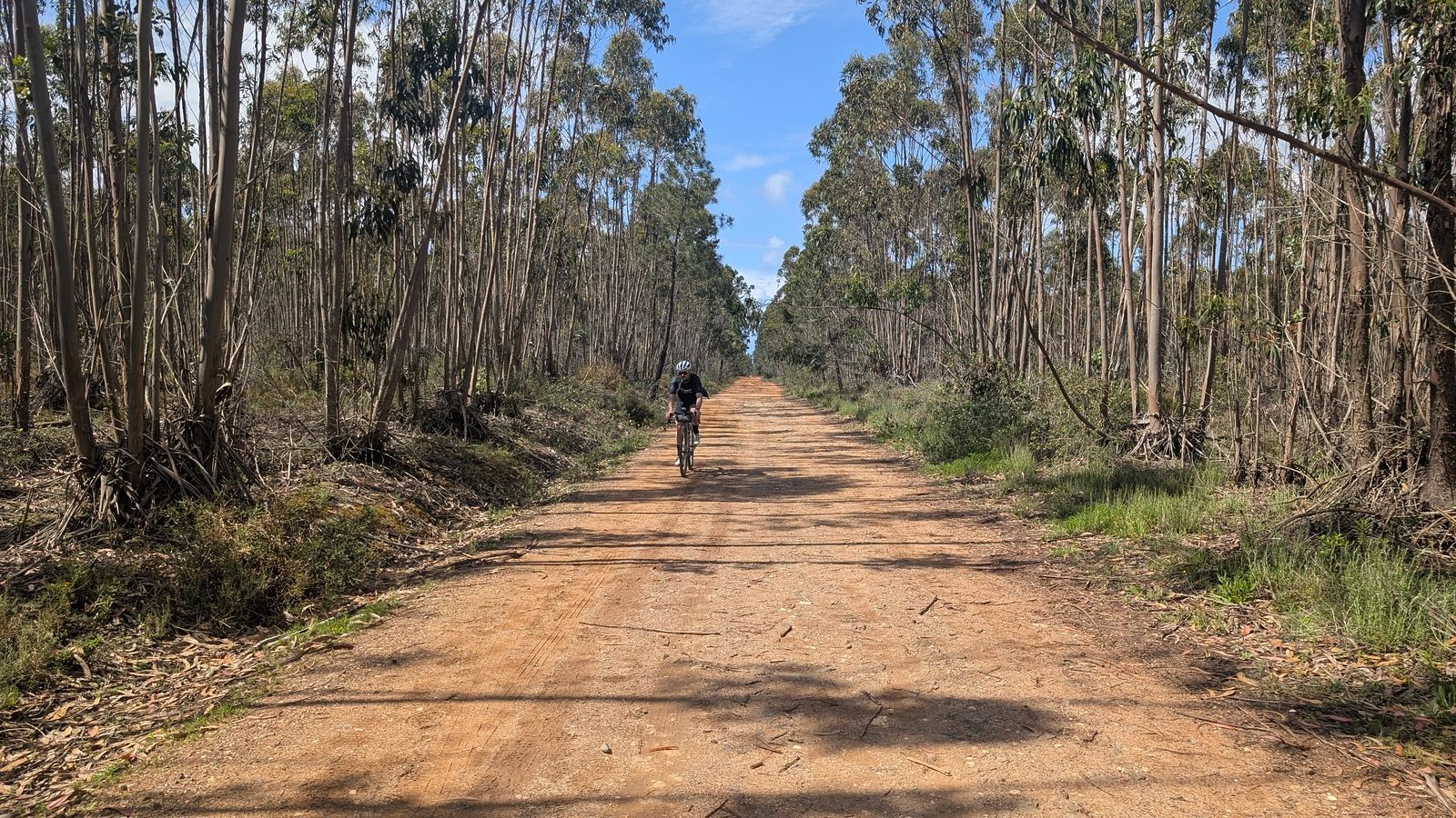 Costa Vicentina and the Fisherman's Trail