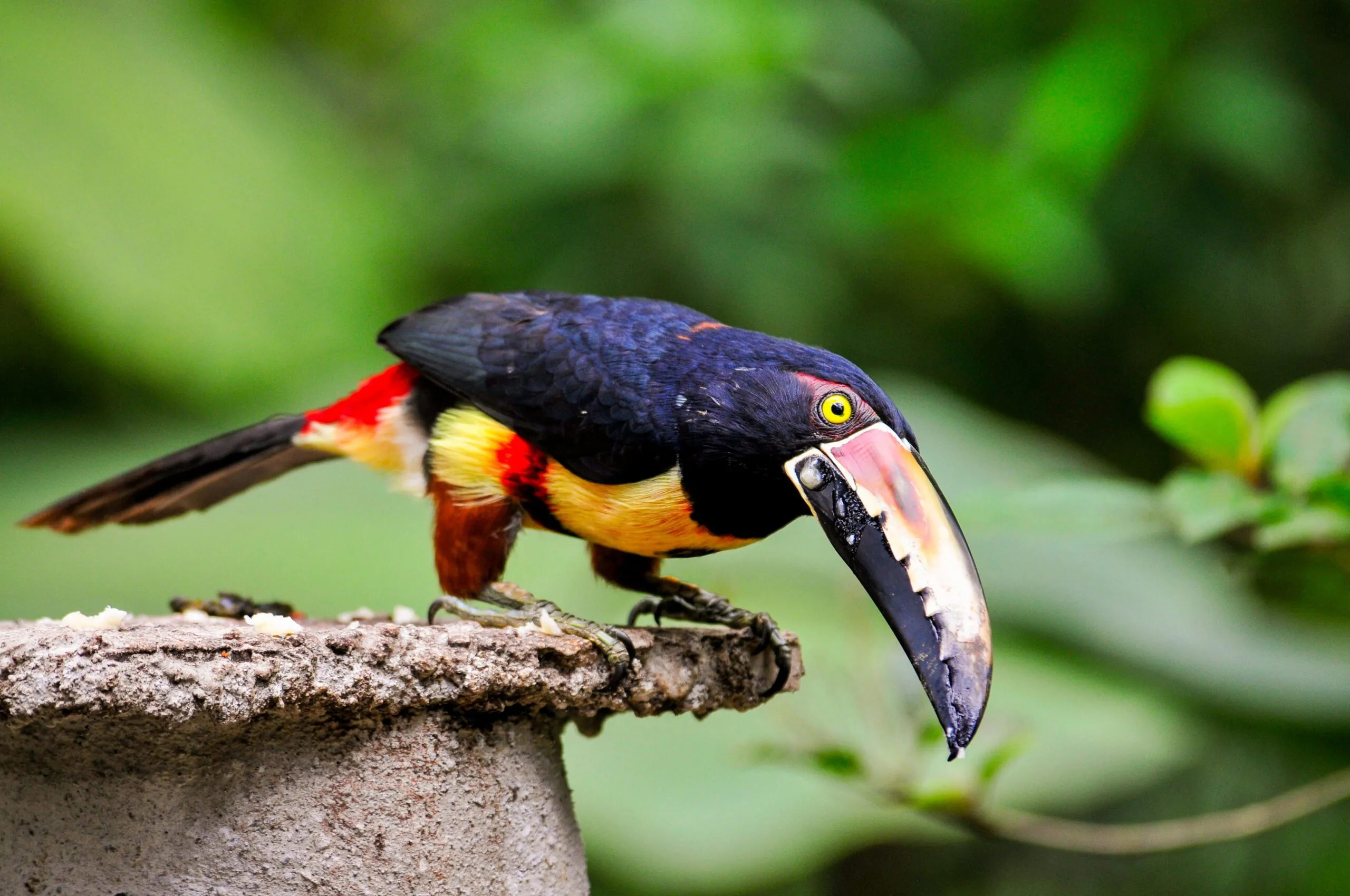 Costa Rica Hiking & Walking Tour