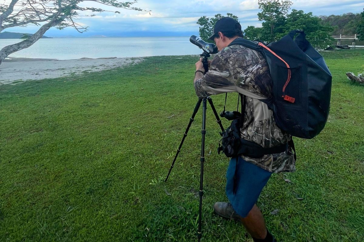 Bird watching at O'Pacífico Beach