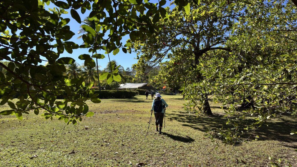 Costa Rica Hiking & Walking Tour