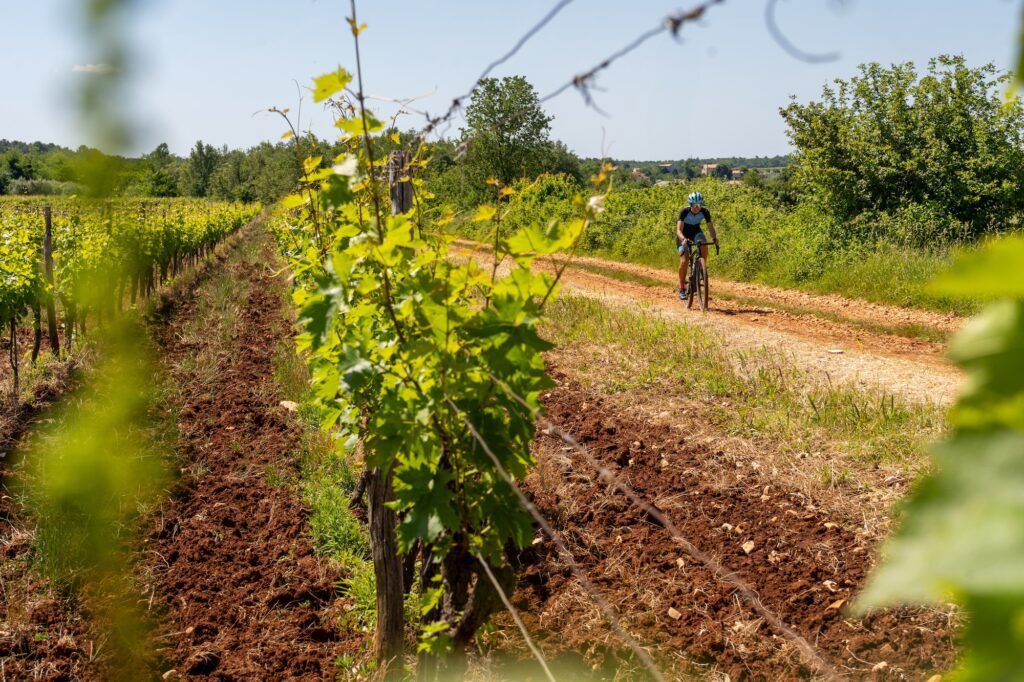 Croatia Gravel Bike Tour