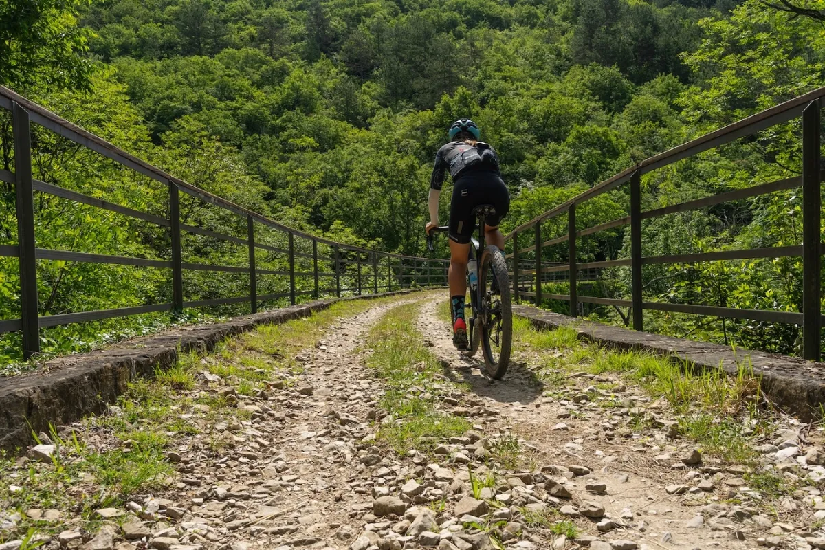 Parenzana Bridge