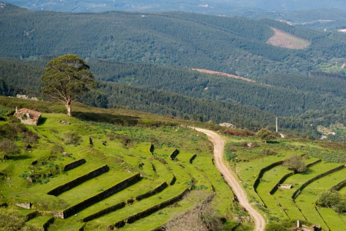 Serra De Monchique Range