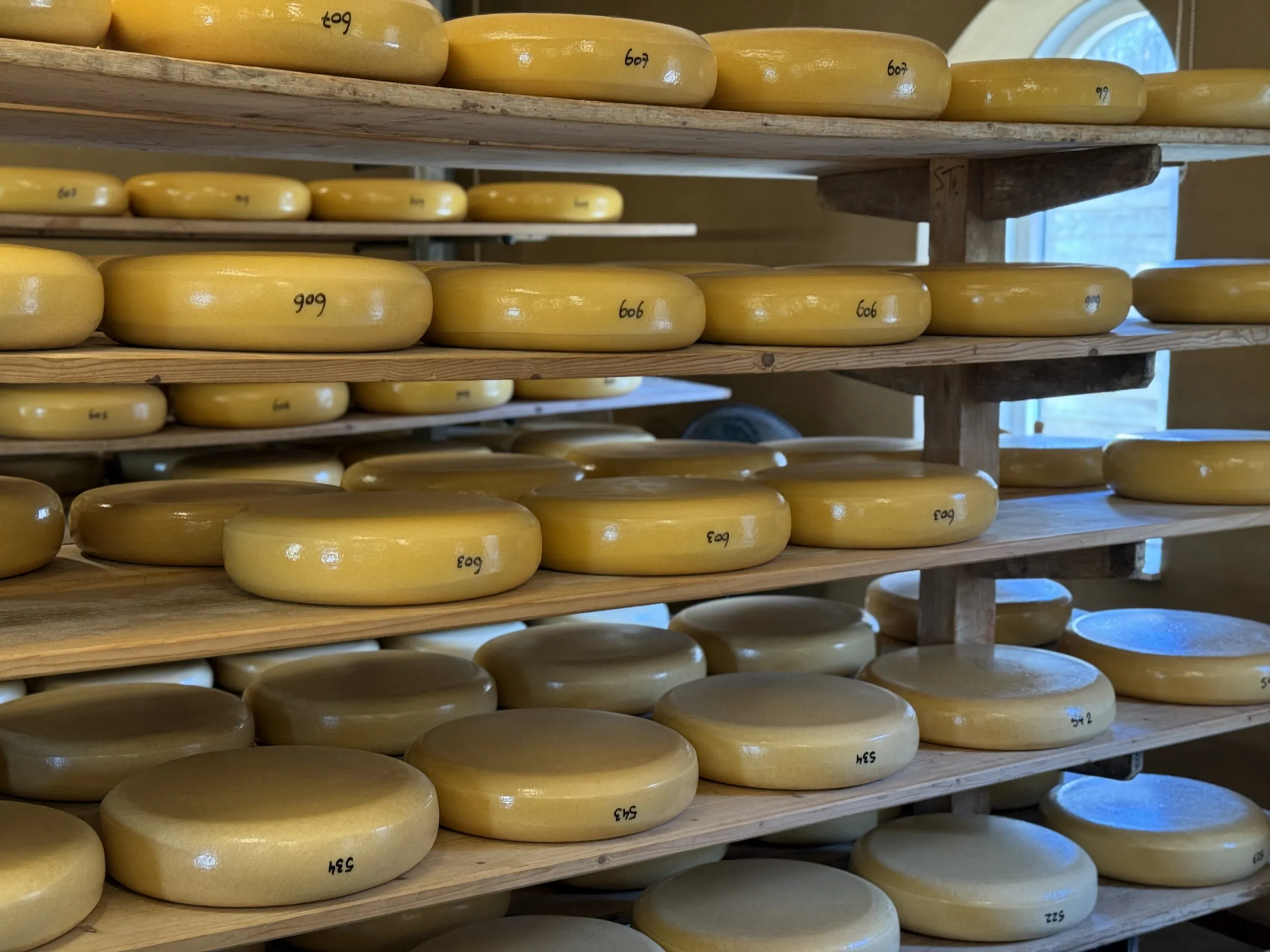 Visit an authentic Dutch cheese farm