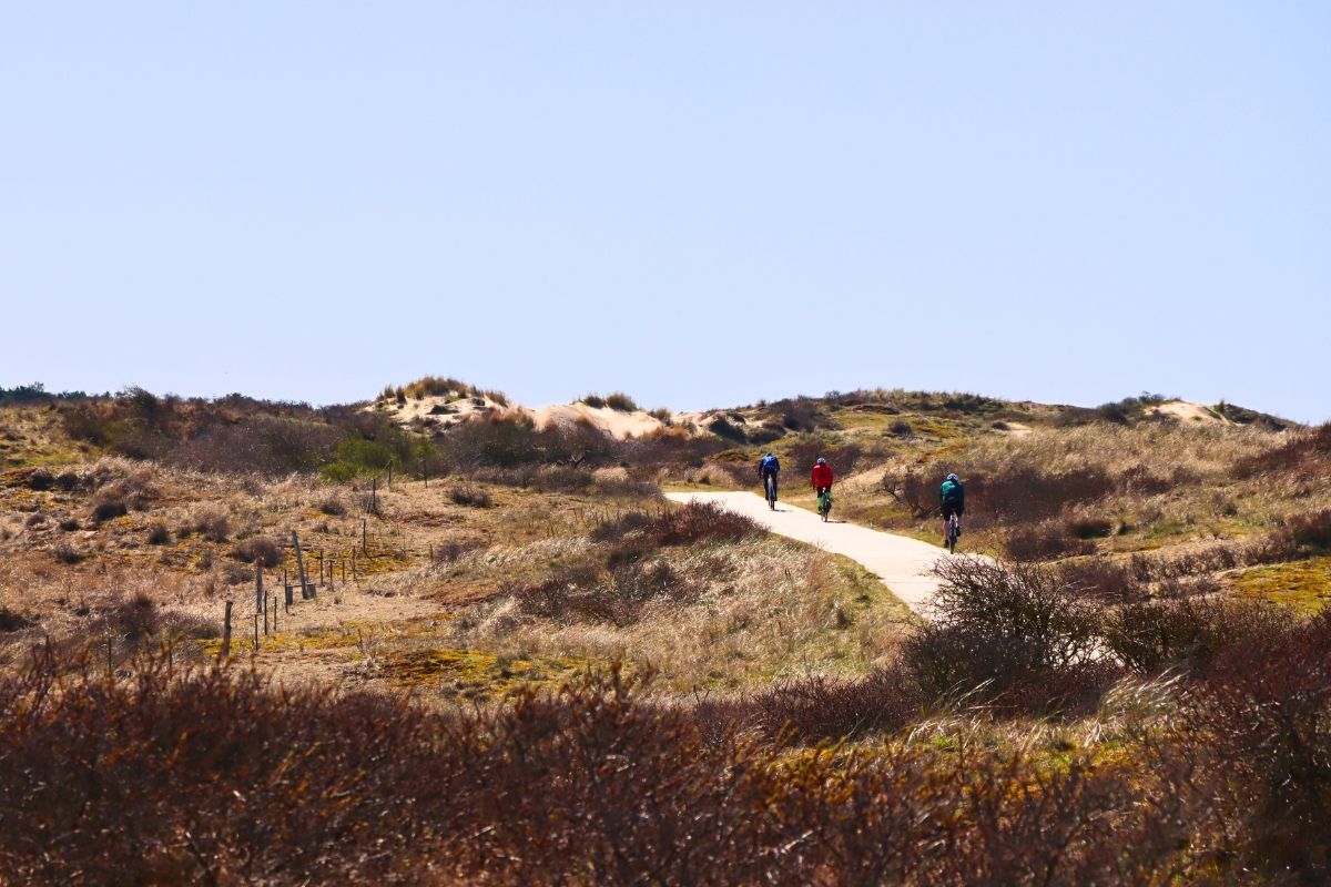 Discover the dunes of the North Sea coast