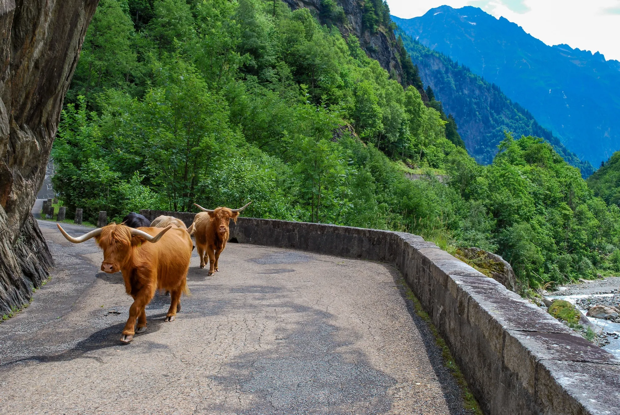 Classic Climbs: Switzerland