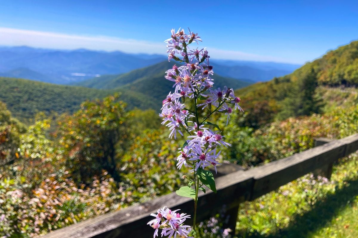 Breathtaking views from the Blue Ridge Parkway