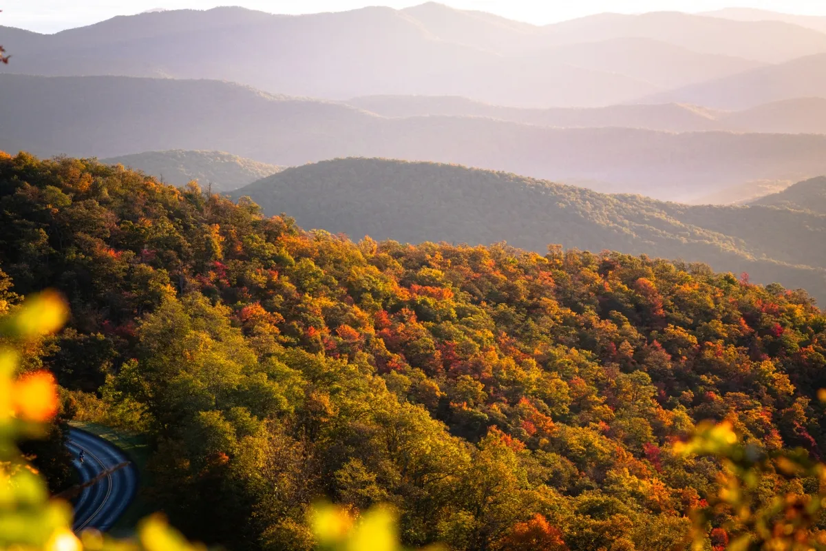Cycle alongside Big Laurel Creek