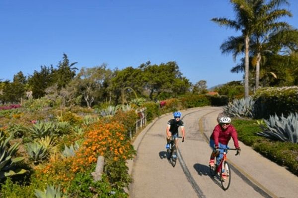 Farewell coastal spin