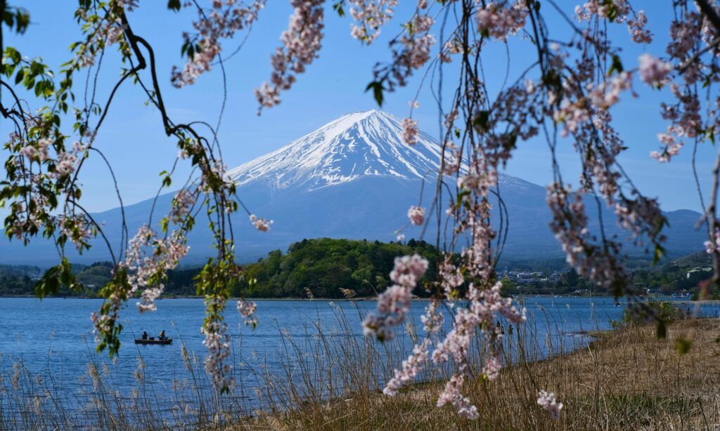 Nara to Tokyo Bike Tour 2027