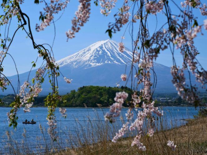 Nara to Tokyo Bike Tour 2027