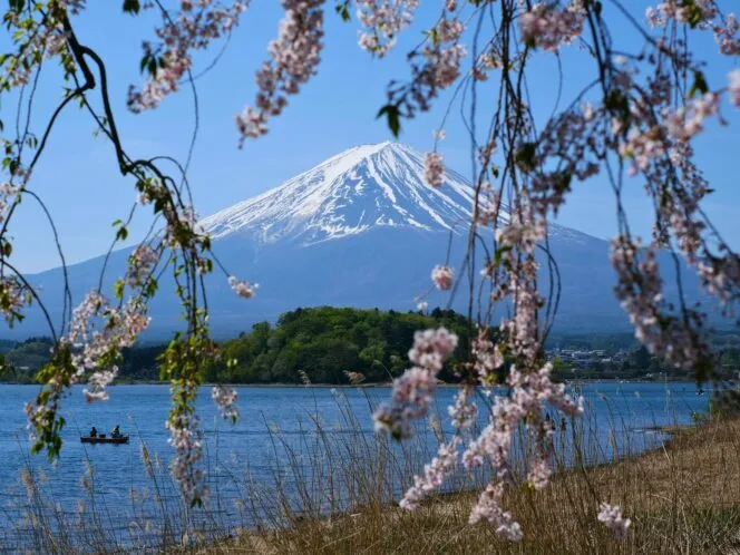 Nara to Tokyo Bike Tour 2027