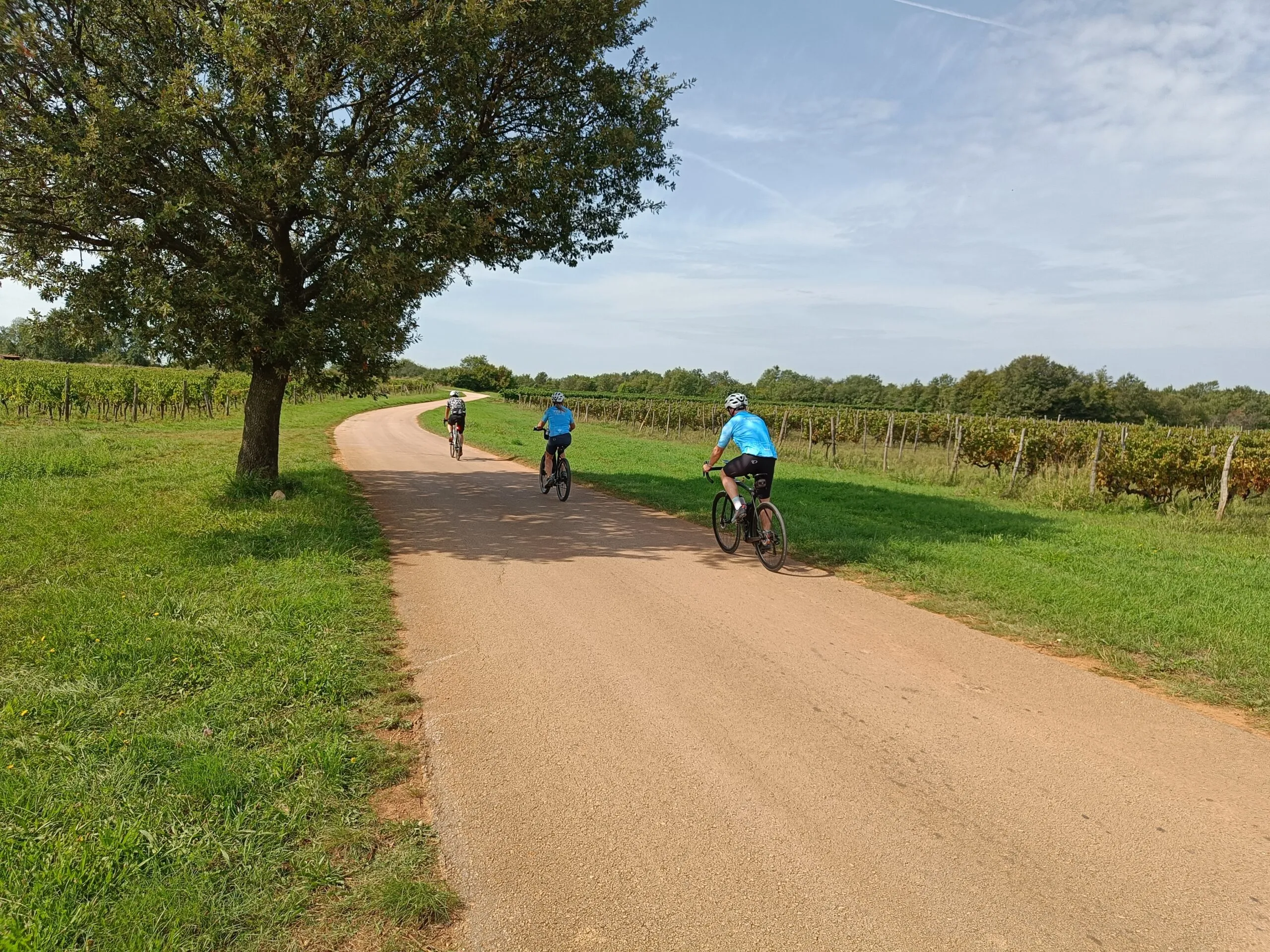 Slovenia to Croatia Bike Tour 2027