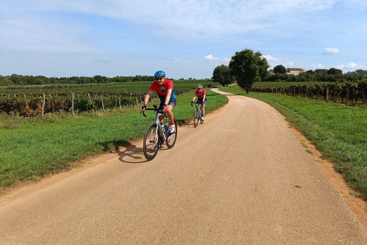 The Istrian Wine Trail