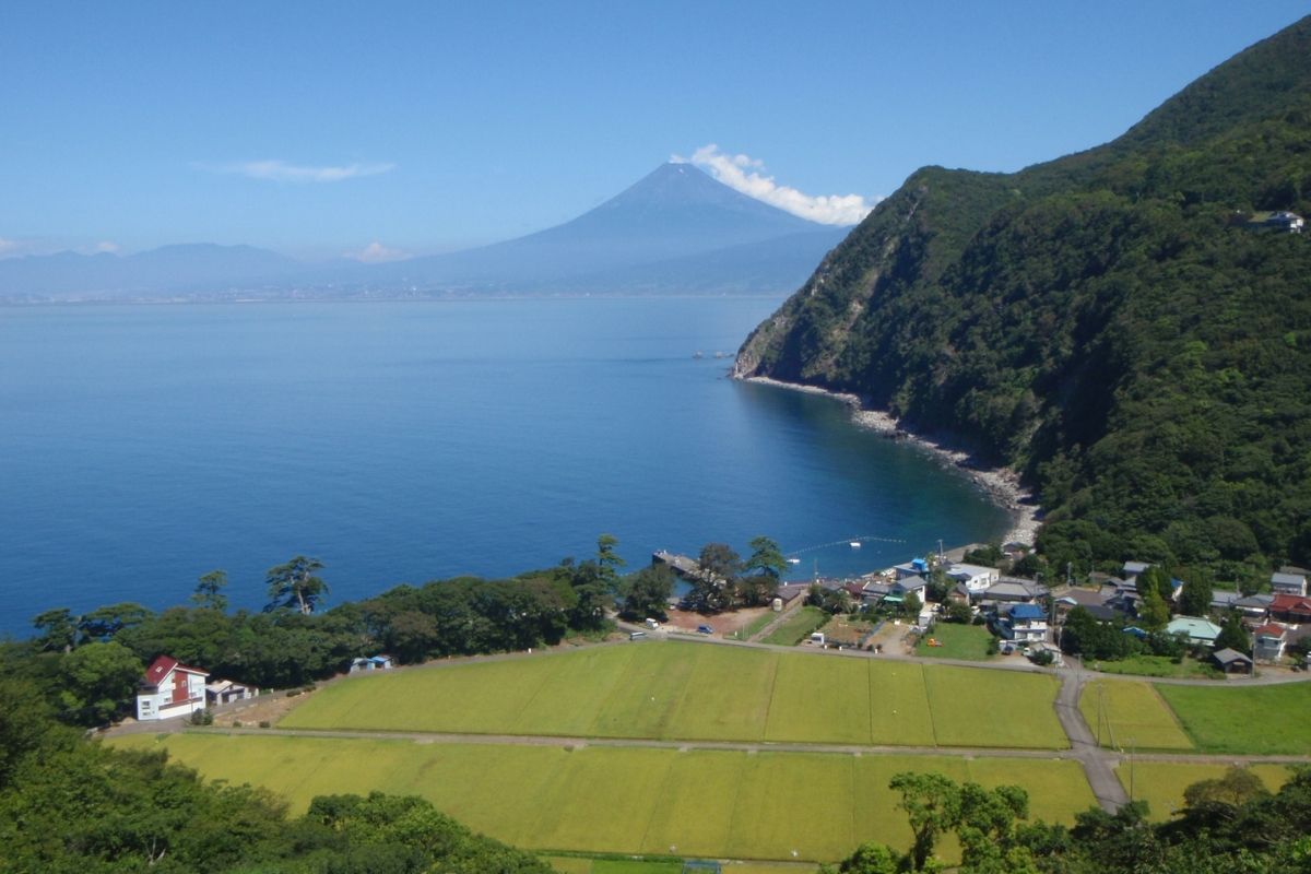 Views from the Izu Peninsula 