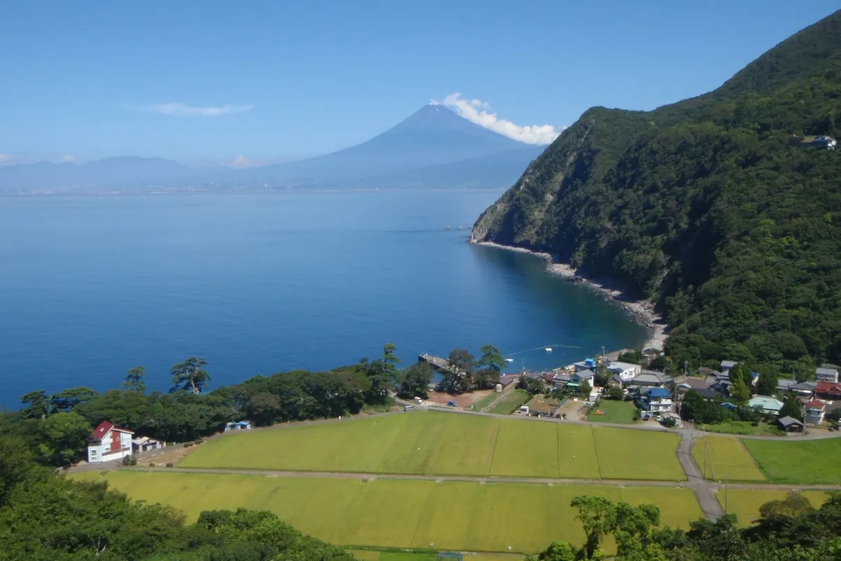 Views from the Izu Peninsula 