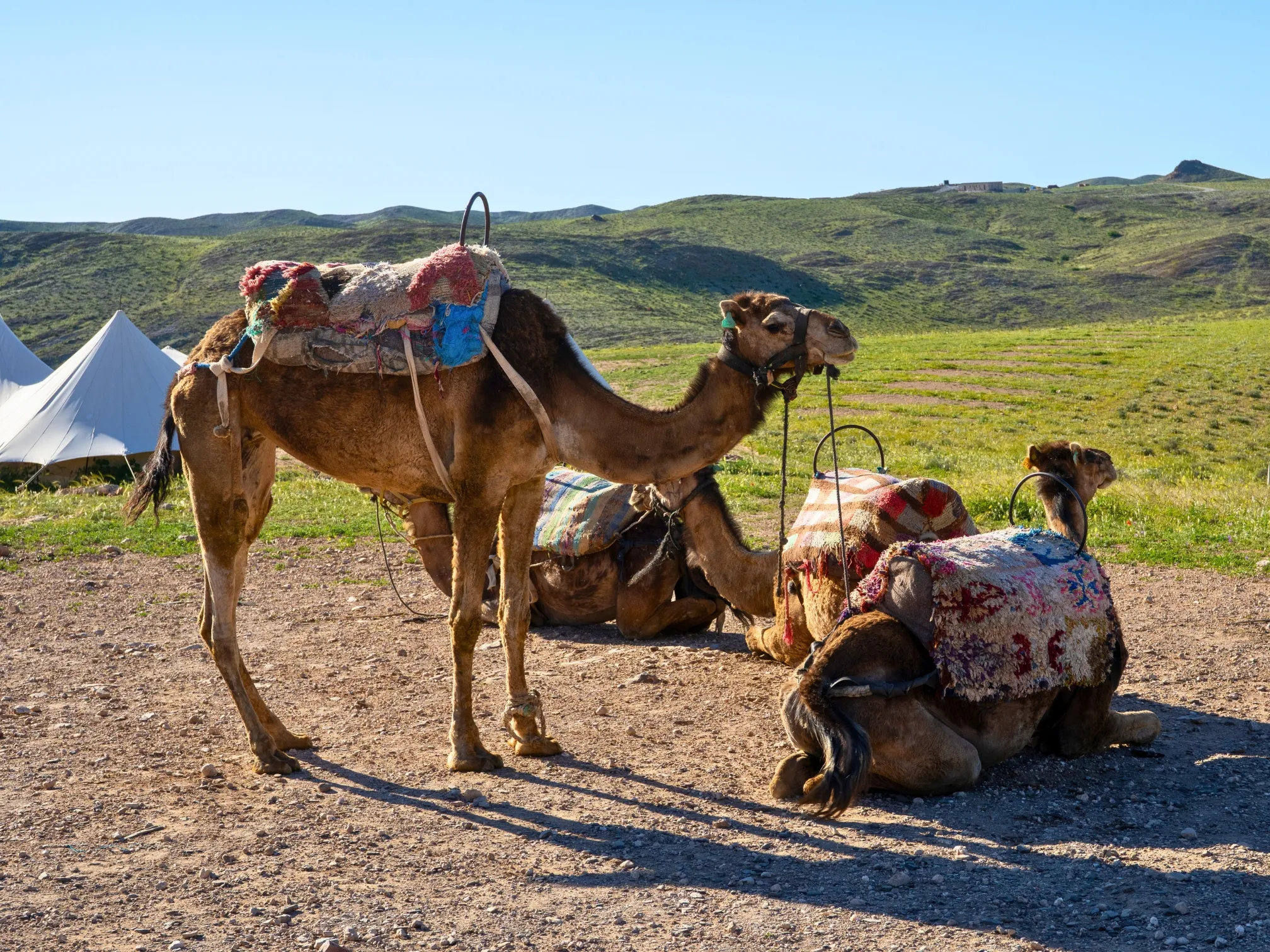 Morocco Gravel Bike Tour