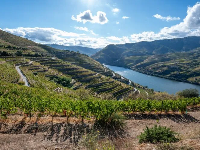 Portugal's Douro Valley Bike Tour