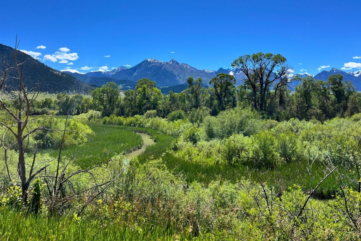Paradise Valley