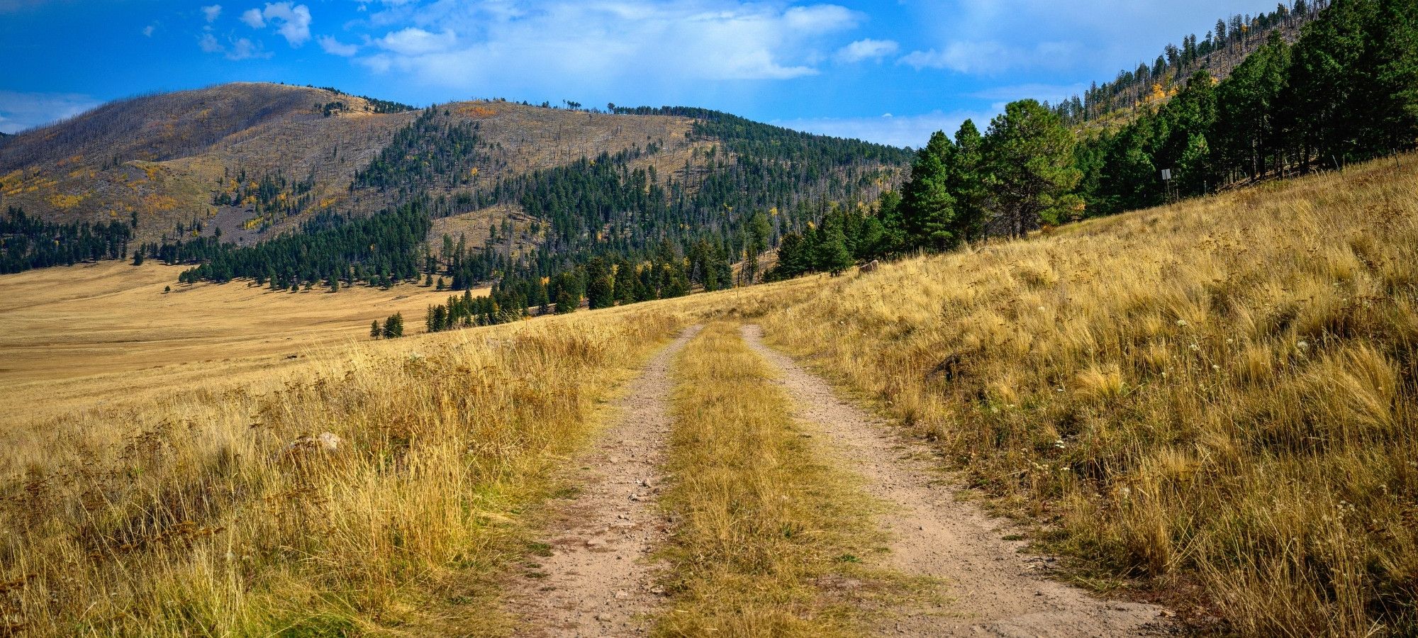 New Mexico Gravel Bike Tour