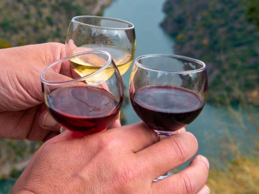 Portugal's Douro Valley Bike Tour