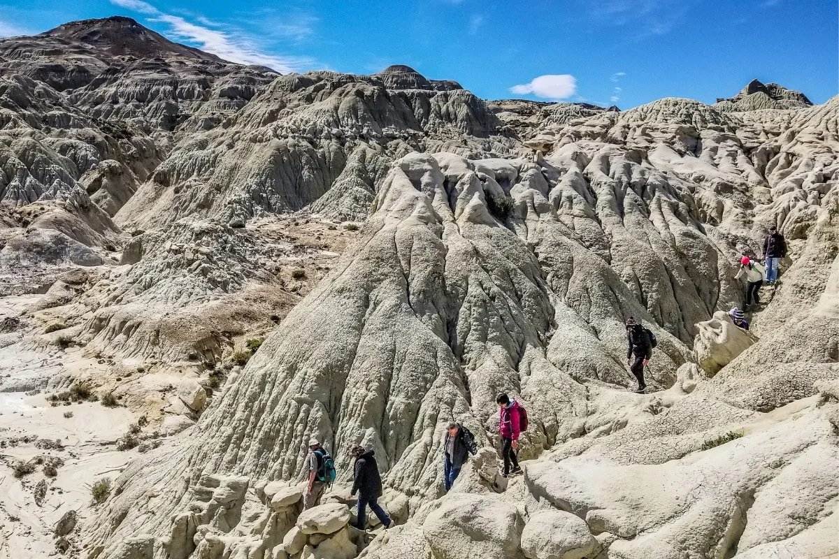 La Leona Petrified Forest