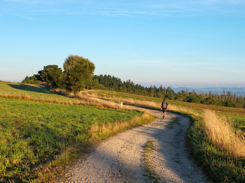 Camino de Santiago Hiking & Walking Tour