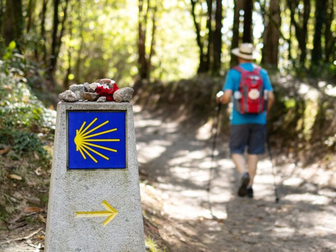 Camino de Santiago Hiking & Walking Tour