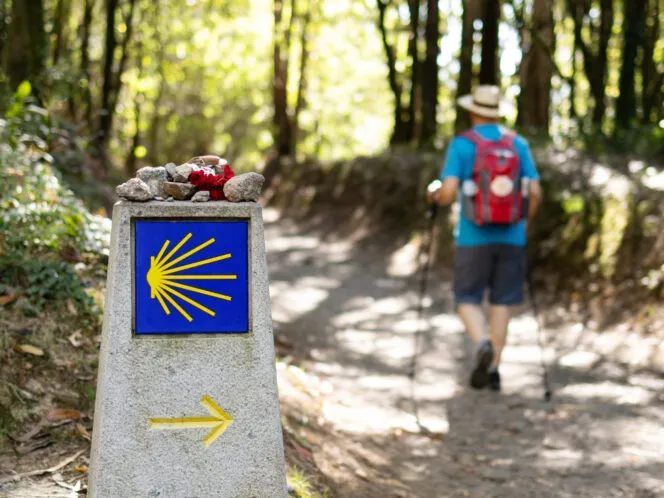Camino de Santiago Hiking & Walking Tour