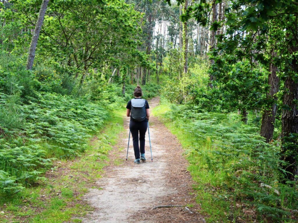 Camino de Santiago Hiking & Walking Tour