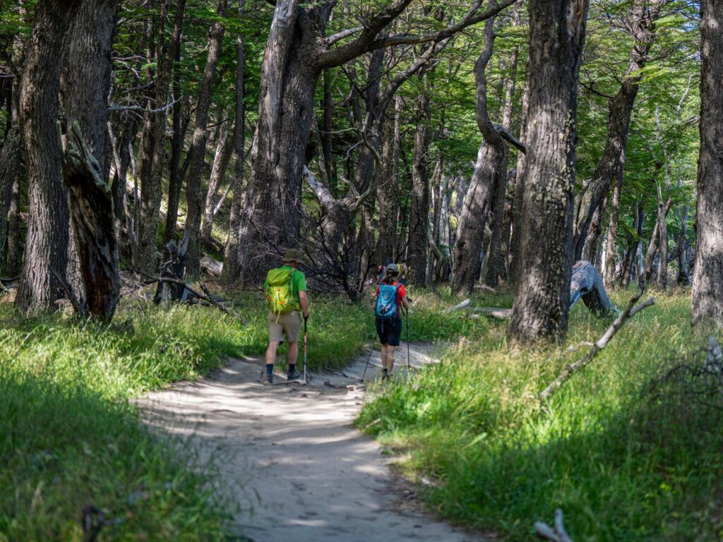 Patagonia Hiking & Walking Tour