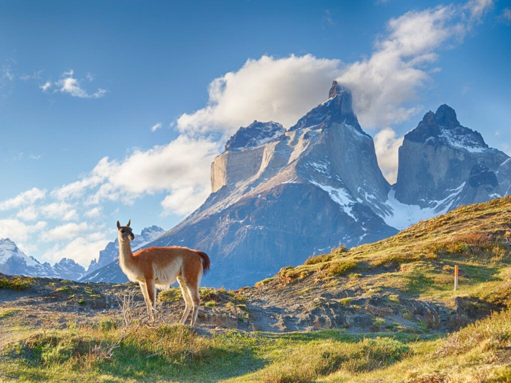 Patagonia Hiking & Walking Tour