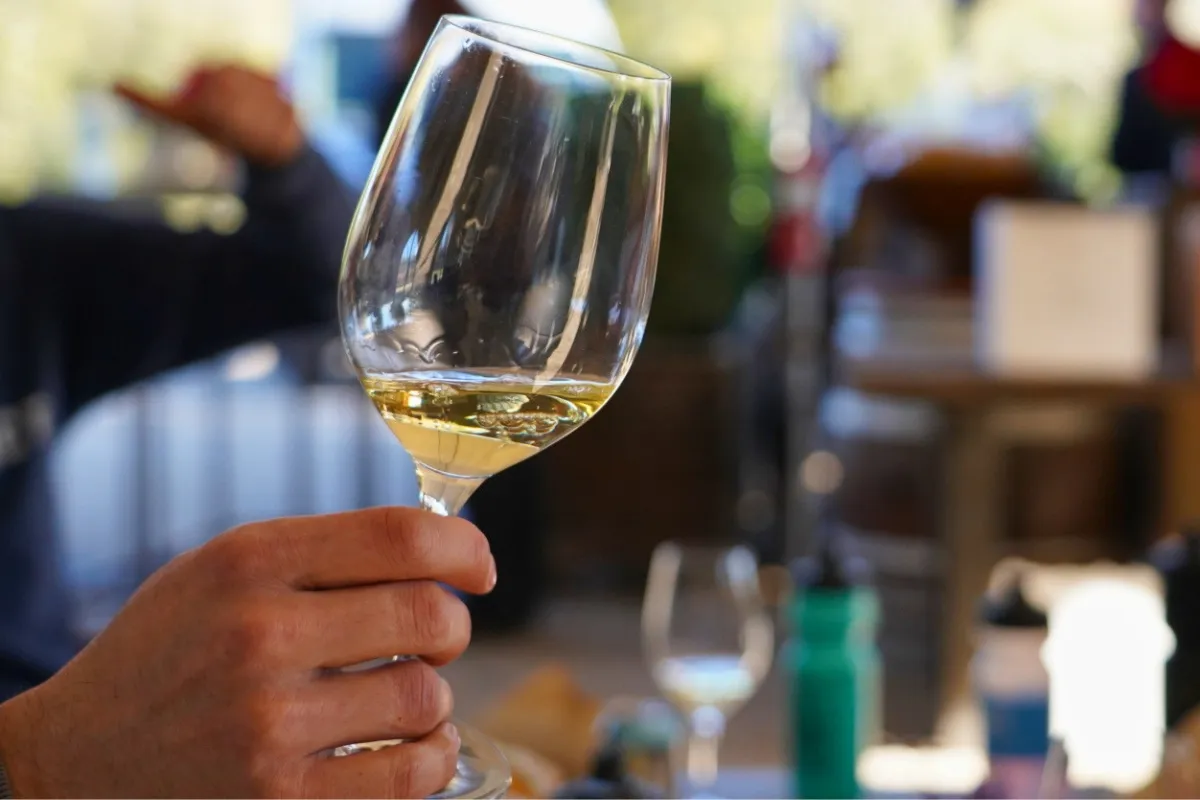 Vouvray wine tasting