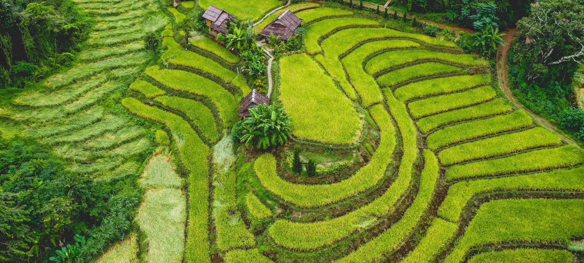 Thailand Bike Tour