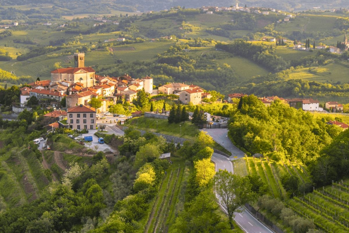 Country #6 — Italy | The vineyards of Friuli