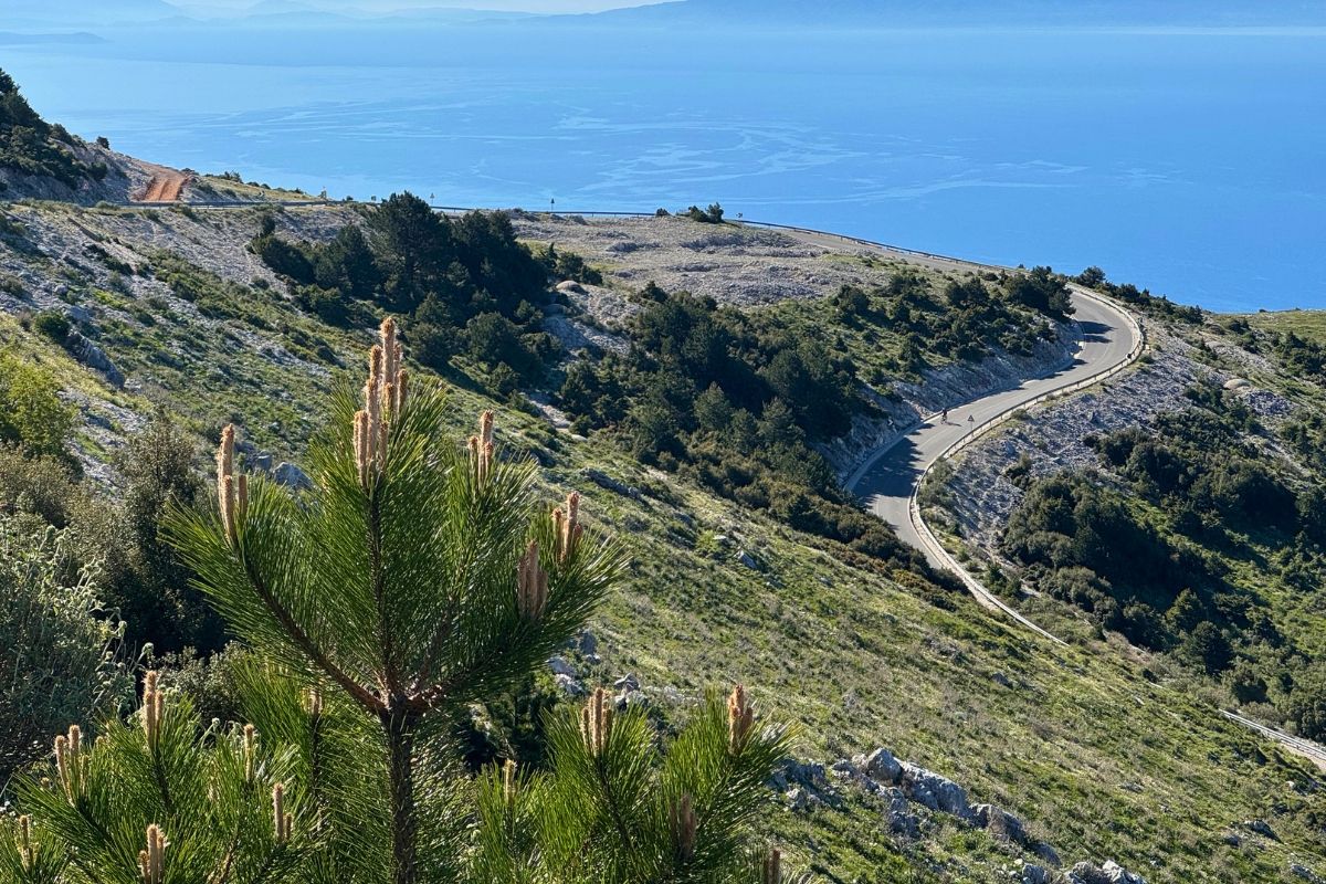 The Llogaraja Pass