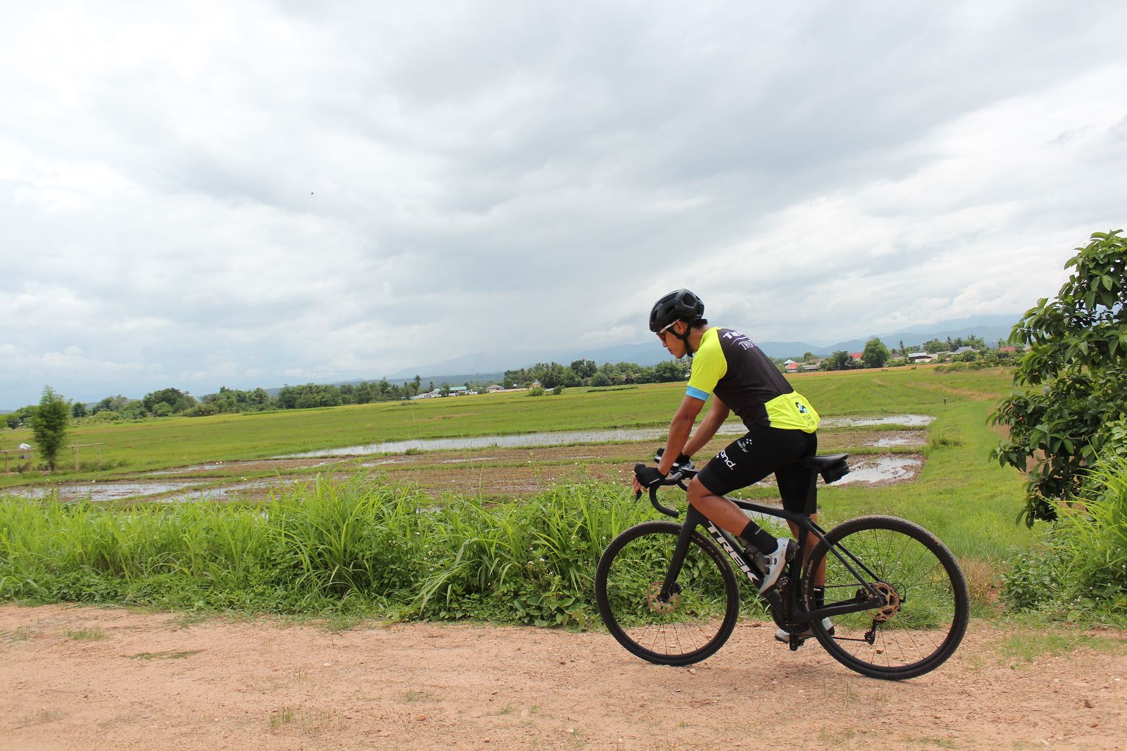 Rice fields for miles
