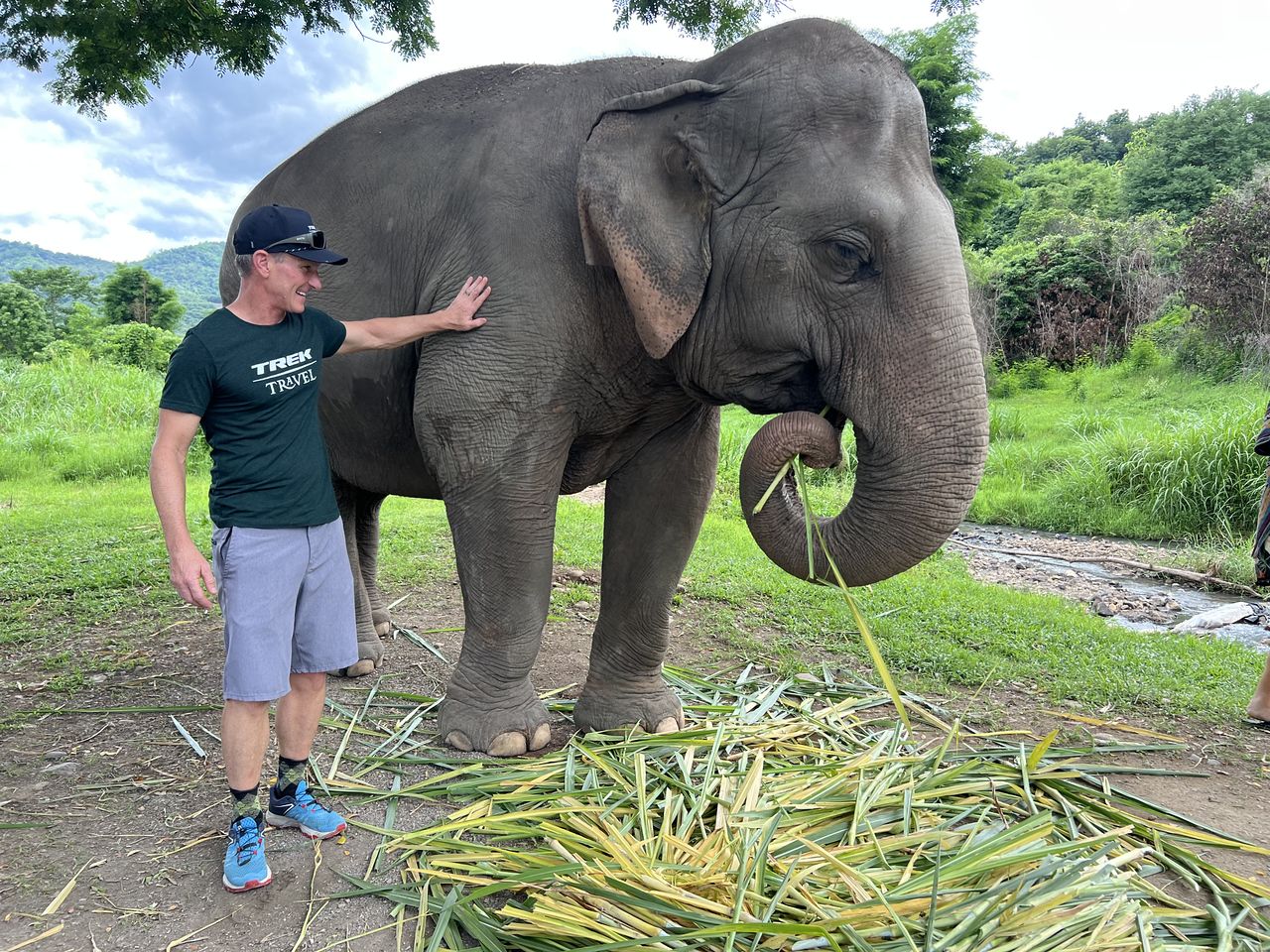 Ethical elephant sanctuary visit