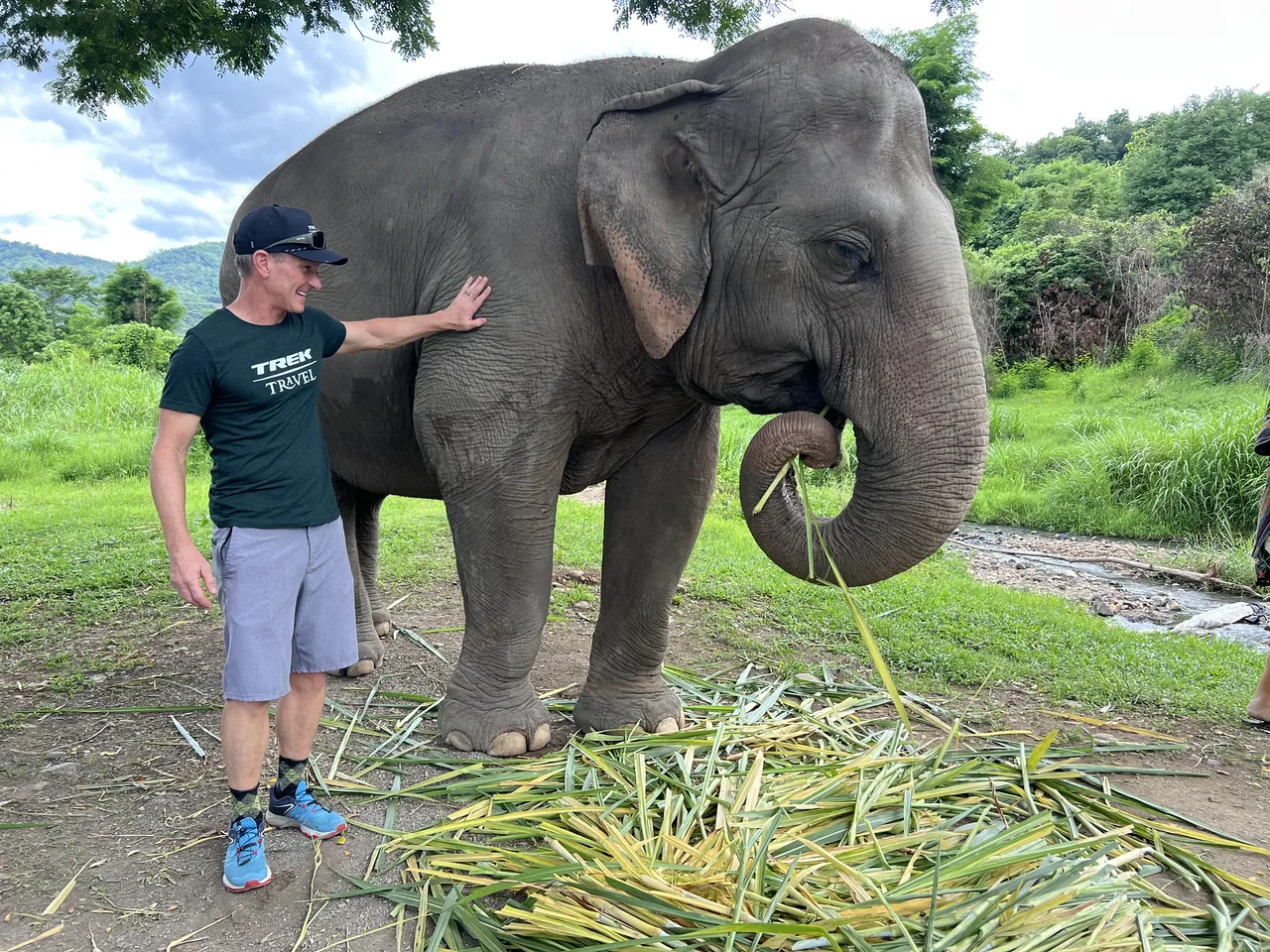 Ethical elephant sanctuary visit