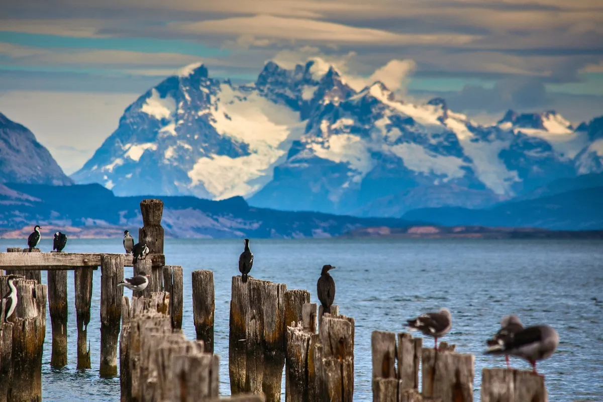 Puerto Natales walking tour