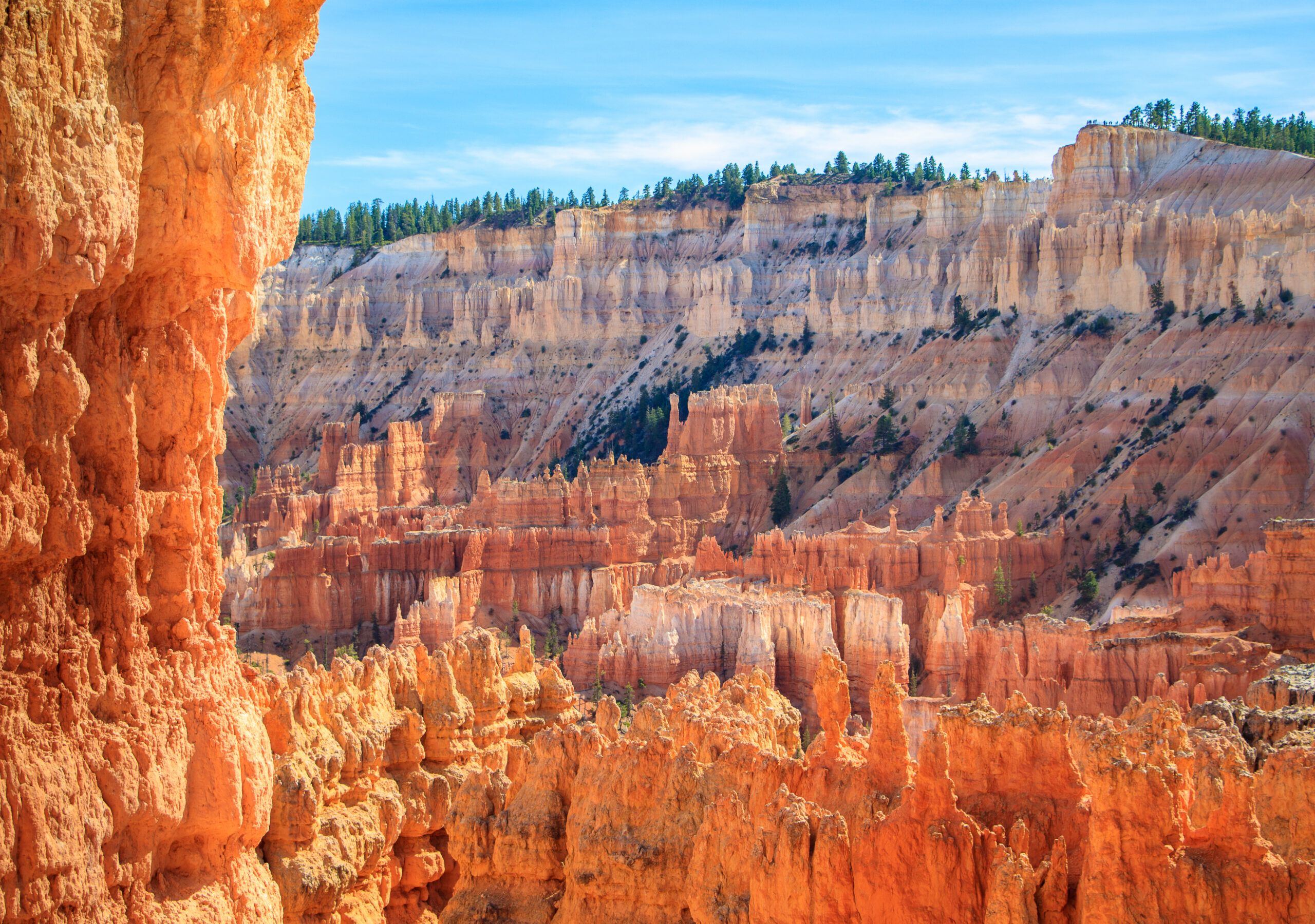 Utah Bike Tours