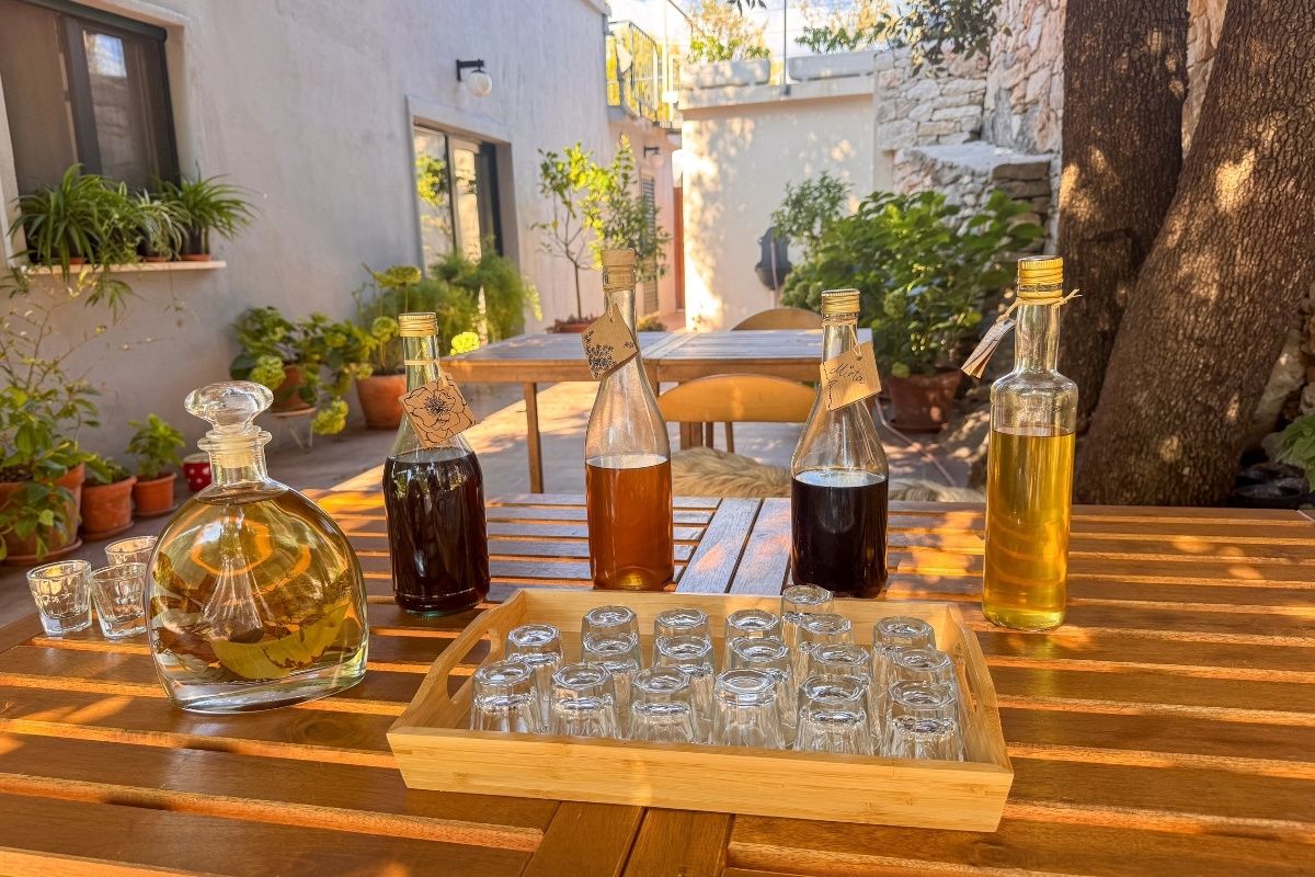 Featured Meal | Farm-to-table lunch on an organic olive grove