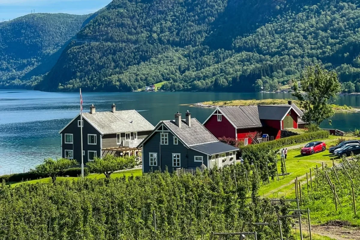 Odelsgut Cidery